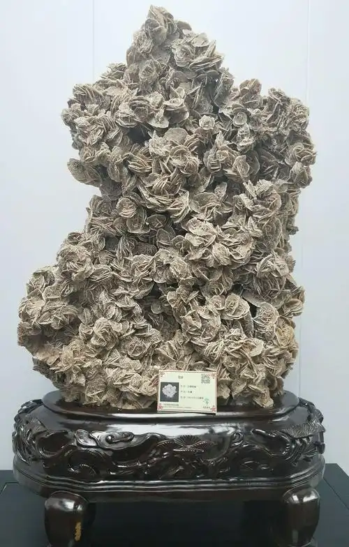 常山赏石博览园奇珍异石叹为观止