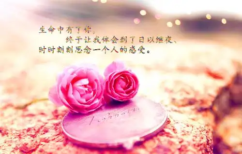 玫瑰花唯美带字图片浪漫的玫瑰花