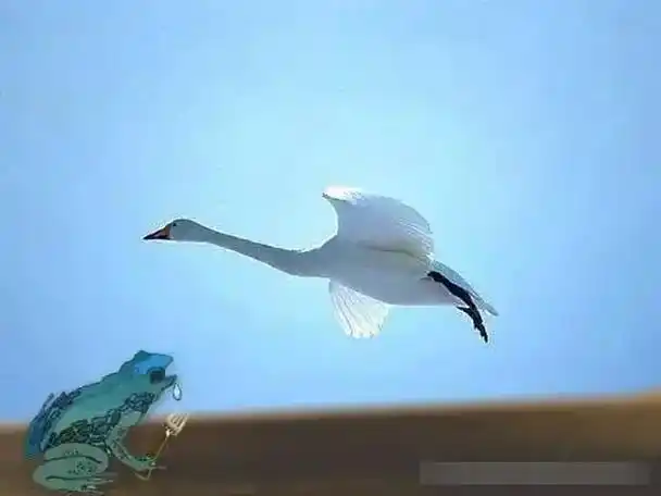 癞蛤蟆想吃天鹅肉表情包-玉州下载站