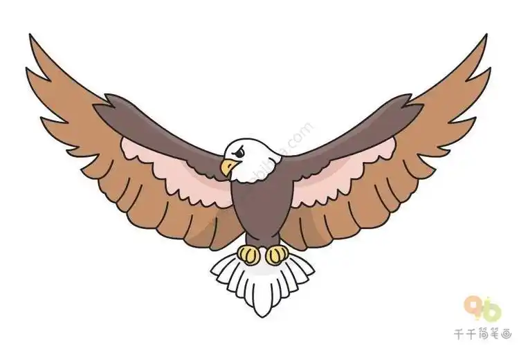 风筝的简笔画小动物老鹰