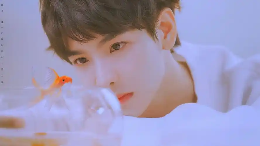 郑繁星 - 堆糖,美图壁纸兴趣社区