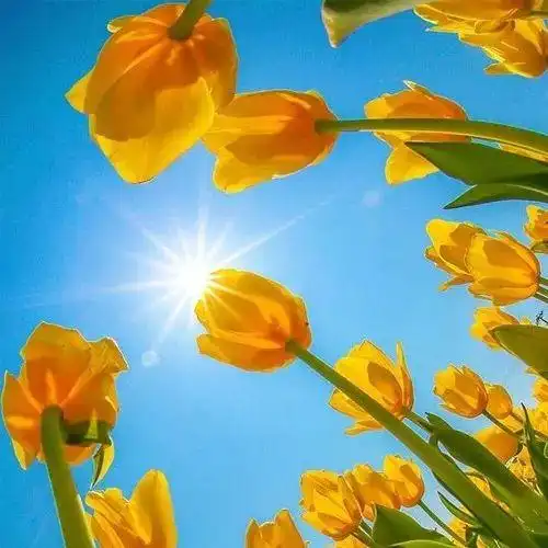 简单3招,助父母减少对孩子发脾气的频率