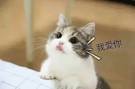 440_293gif 动态图 动图