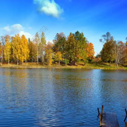明亮的秋木映在湖中