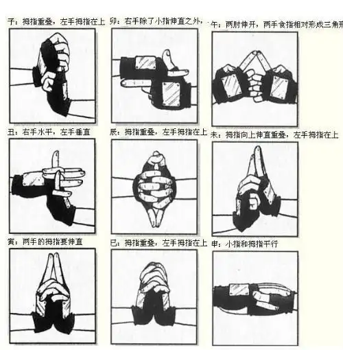 火影中的忍术(要结印手势)