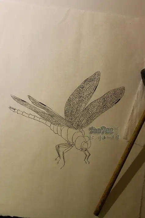 蜻蜓. 白描练习. 熟宣,小狼.
