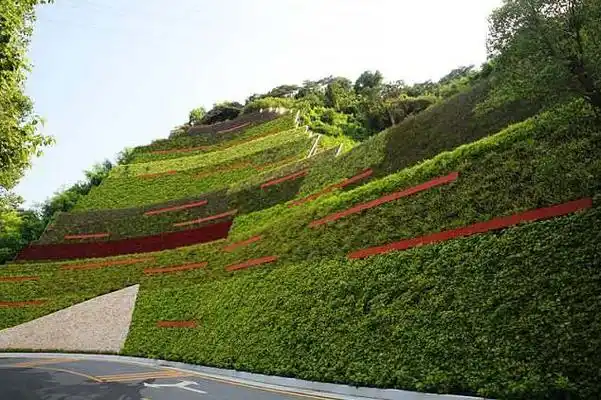 干货索尔园林集团边坡生态修复解决方案