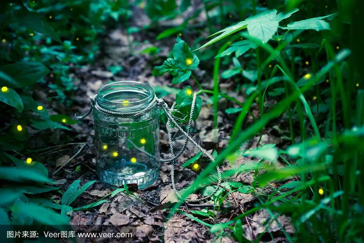 瓶子里的萤火虫