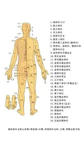腰椎间盘突出常见哪个部位?腰突确诊需要做什么检查?