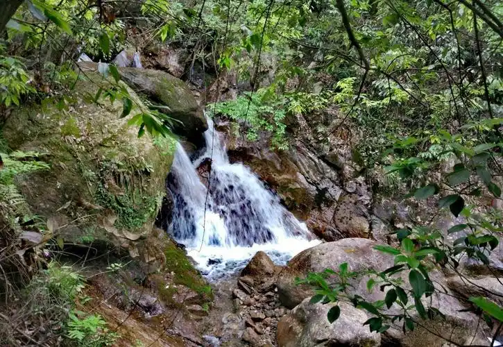 魅力阳春——【八甲白水瀑布】