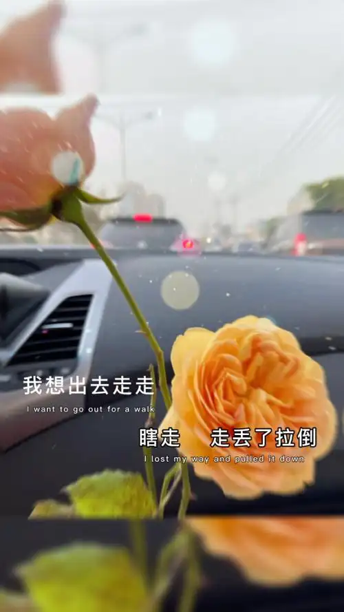 我想出去走走,瞎走……走丢了拉到!