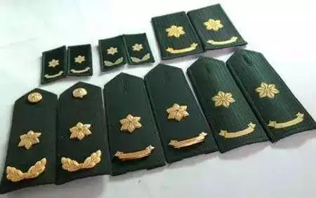 原来文职干部肩章