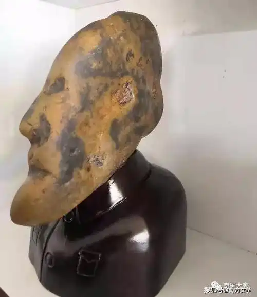 奇石世界 | 一方酷似人物肖像的虎皮石"吴老头"