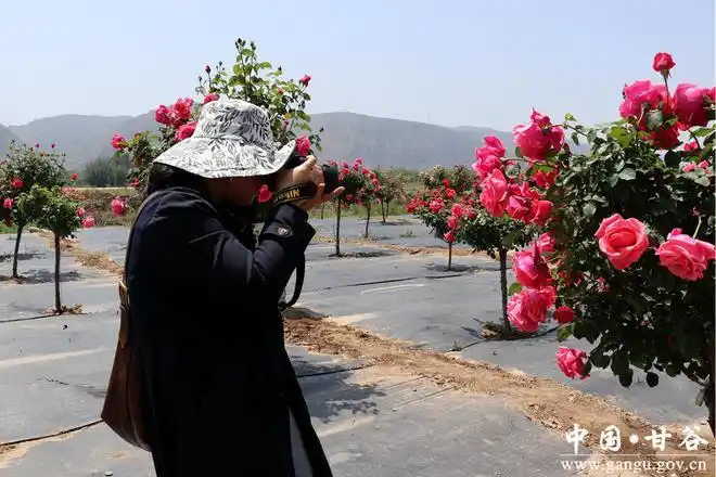 天水市"奋进新征程 建功新时代"集中采访走进甘谷(图)|甘谷县|甘肃