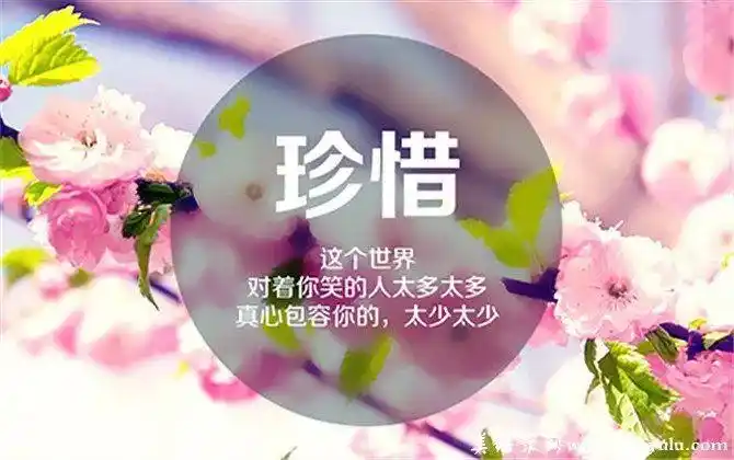 让着你的人,不是因为笨, 而是在乎你!