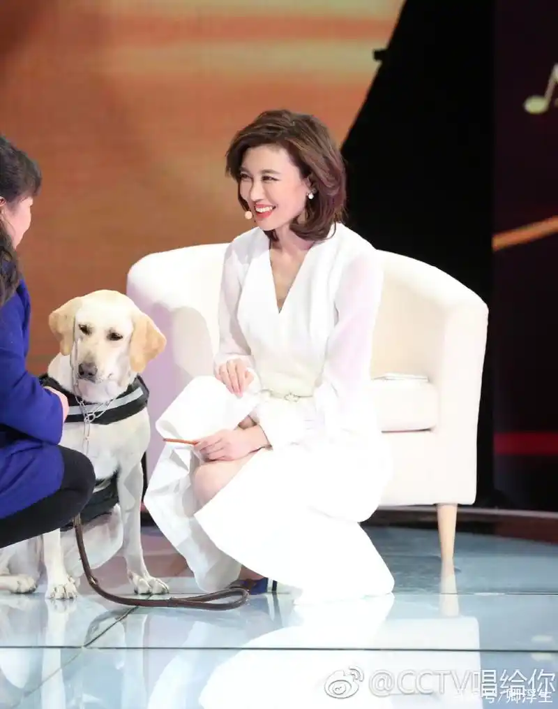 发现央视最美女主持人——李红