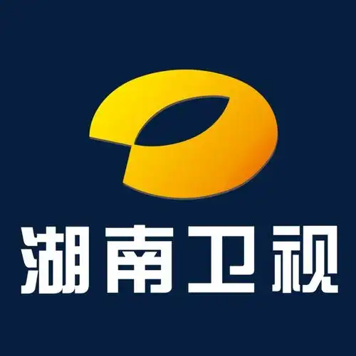 黄色湖南卫视logo标志