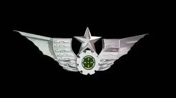 陆军胸标带透明通道循环视频视频素材包