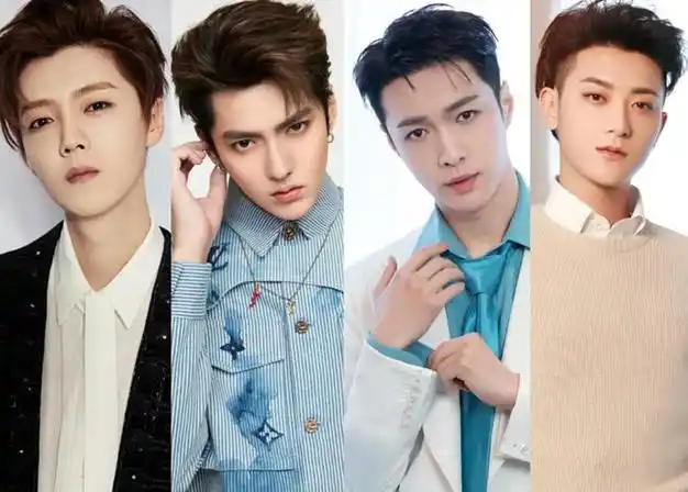 2015年因病解约退出了组合,在此之前同组合的中国成员吴亦凡,鹿晗先后