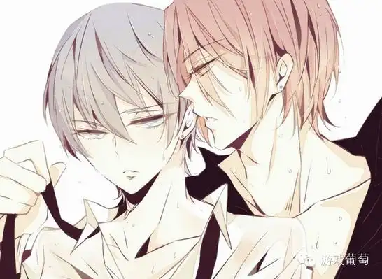 cp是什么意思网络用语cp是什么意思图解