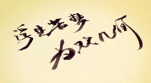 浮生若梦为欢几何是什么意思