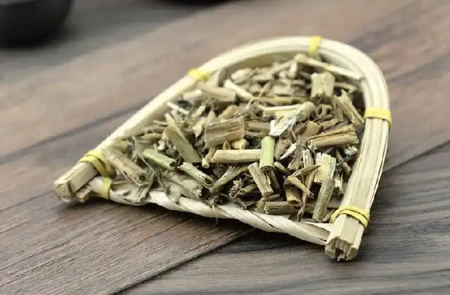 龙葵草的功效与作用中药龙葵的药用价值有哪些