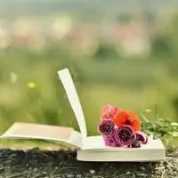 书本头像唯美图片