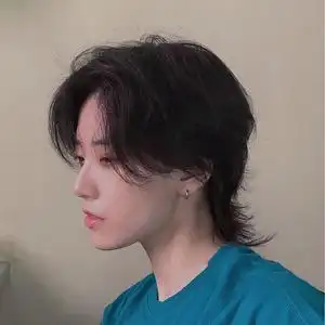 网红假发男短发中分刘海鲻鱼头狼尾韩版帅气自然时尚蓬松全头套式