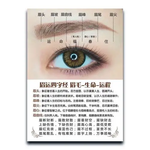 眉运纹绣新款美容院写真海报挂画宣传活动运程写真