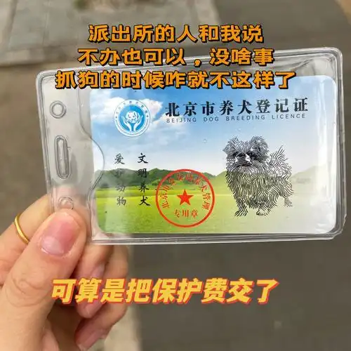 北京养狗需要办狗证吗
