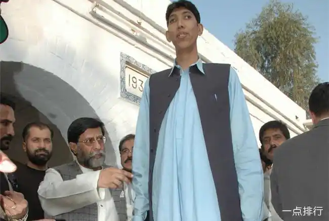 世界上最高的十大男性人物 土耳其的苏丹身高_天天苹果排行榜