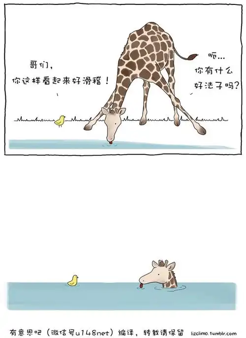 一组萌出血的治愈系动物冷笑话