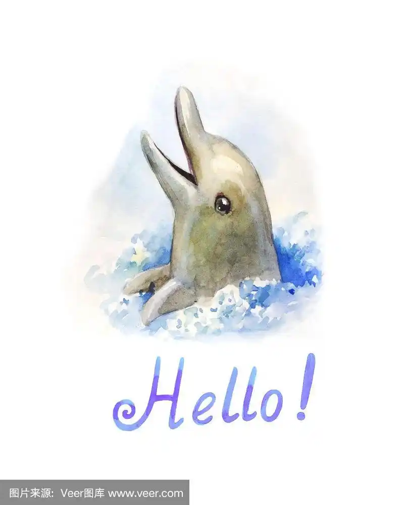 海豚在水里.水彩插图.可爱有趣的角色