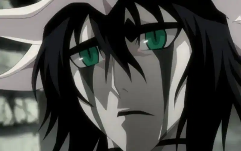 【死神bleach/乌尔奇奥拉】evergreen