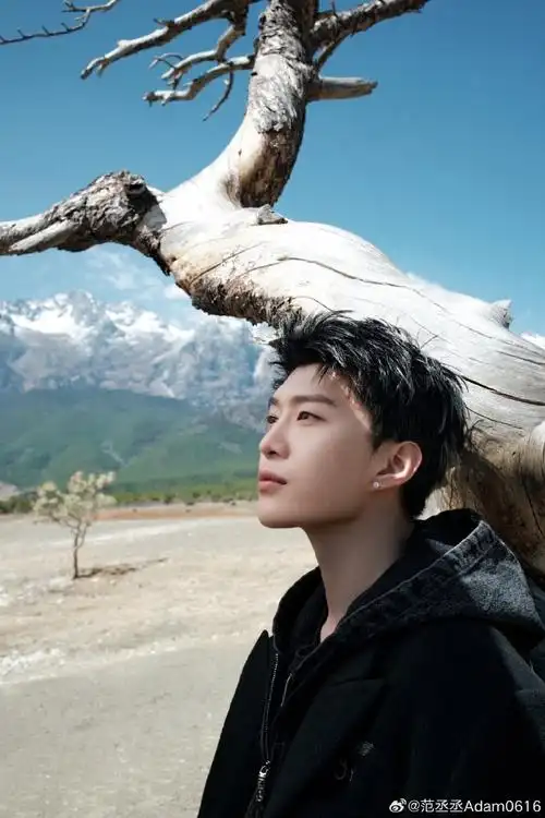 范丞丞白色挑染