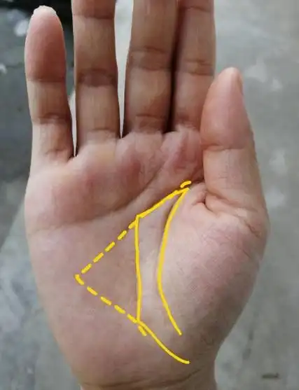 破财耗财留不住;元宝纹内有岛纹,桃色事件破财|小指|手相|纹路_新浪