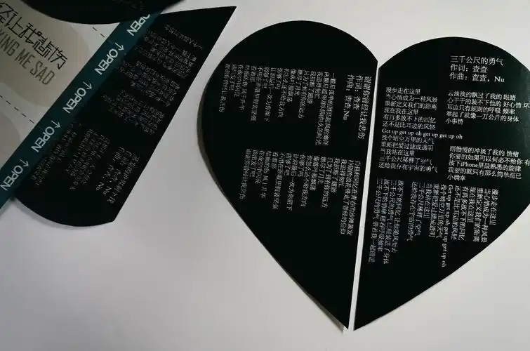 内部的插图和歌词本依旧是运用原本专辑设计的黑色作为主色调,以传达