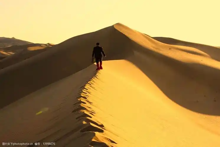 沙尘暴来临之前独行在沙漠图片