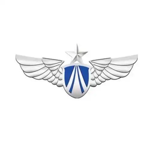 中国空军标志简笔画