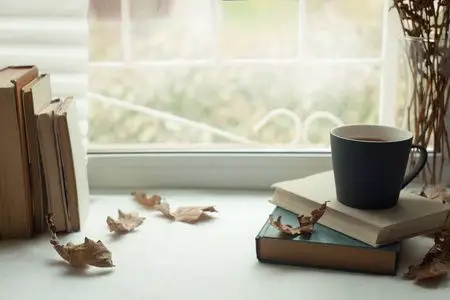 在家寒冷的天气里看书和放松.安静的寂静的家常场面照片