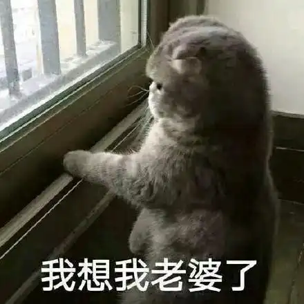 我想我老婆了 - 一组猫表情,喵喵_猫_喵星人_萌萌哒表情