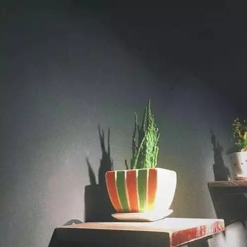 文艺个性朋友圈背景图