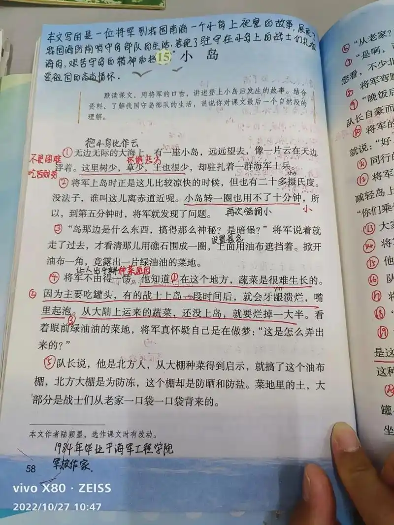 五年级语文上册第15课 备课笔记——第15课《小岛》