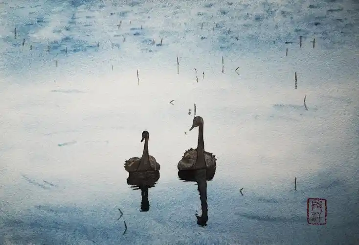 54150优雅黑天鹅小白也可以的一个小时水彩画