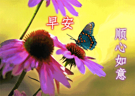 中老年表情包,怎么开心怎么活,怎么舒坦怎么过