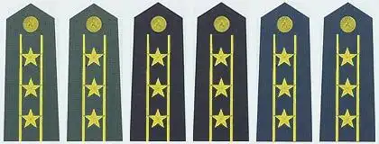 "88式"军衔上校肩章