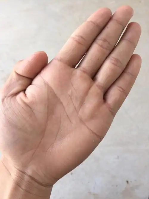 手相真正的三角纹图 手相真正的三角纹图男