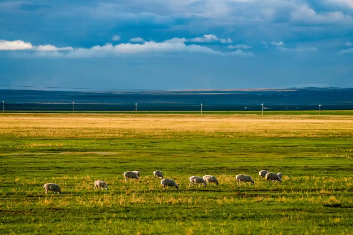 春日旅行图鉴丨内蒙古——寻找辽阔草原上的乌托邦