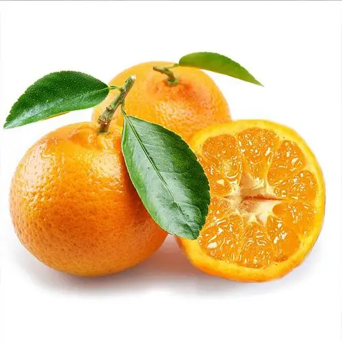 神台山周坊椪柑(61~70mm特级果)5kg装