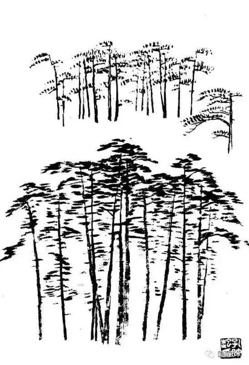 白描百树画谱中国名家示范树木的画法国画各种树的画法